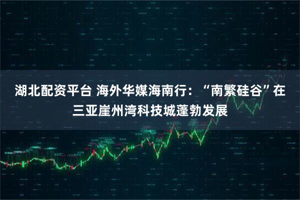 湖北配资平台 海外华媒海南行：“南繁硅谷”在三亚崖州湾科技城蓬勃发展